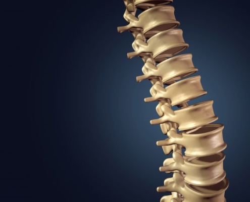 coluna vertebral